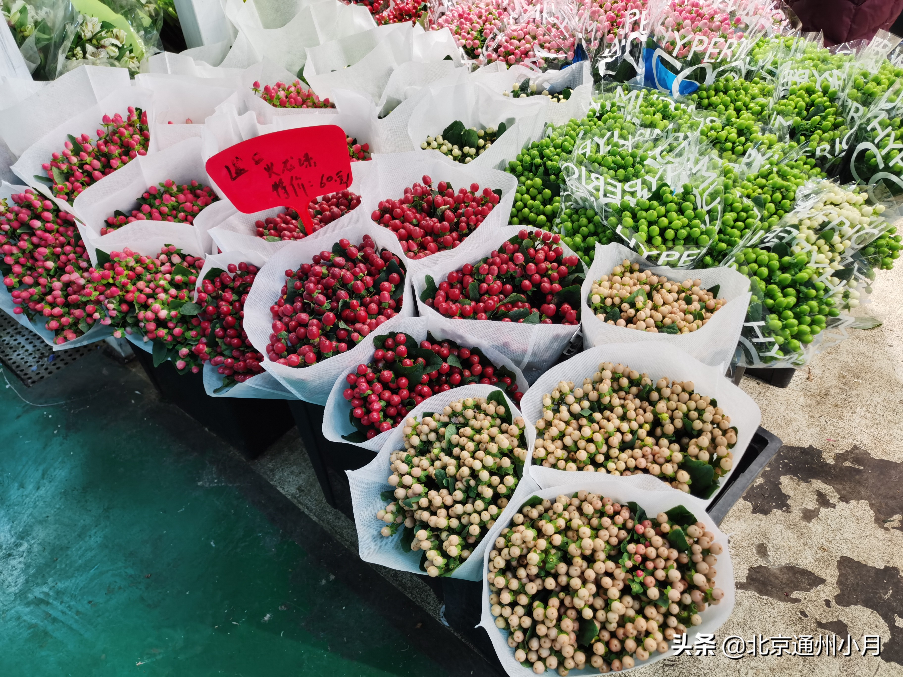 北京4家宝藏的花市 价格便宜 实现鲜花自由 爱花的记得收藏