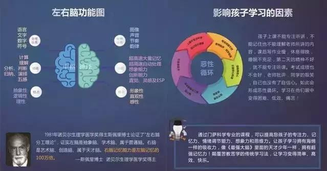 全脑开发：右脑的能力主要是什么？