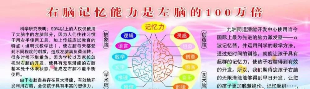 全脑开发：右脑的能力主要是什么？