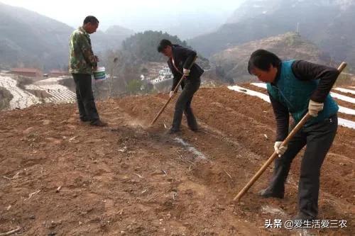 这几种冷门生意，干的人很少，了解的人也不多，但是真的很暴利！