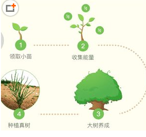 蚂蚁森林怎么获取保护罩 这个功能有什么用