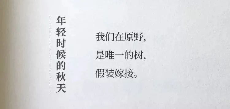 杜蕾斯的广告文案，看完想谈恋爱