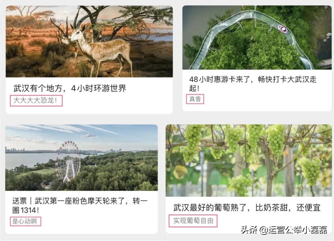 靠旅游年入1000万，旅游自媒体有什么运营套路？