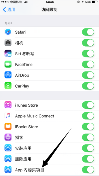 苹果手机App内购买项目是什么意思 内购买项目怎么关闭