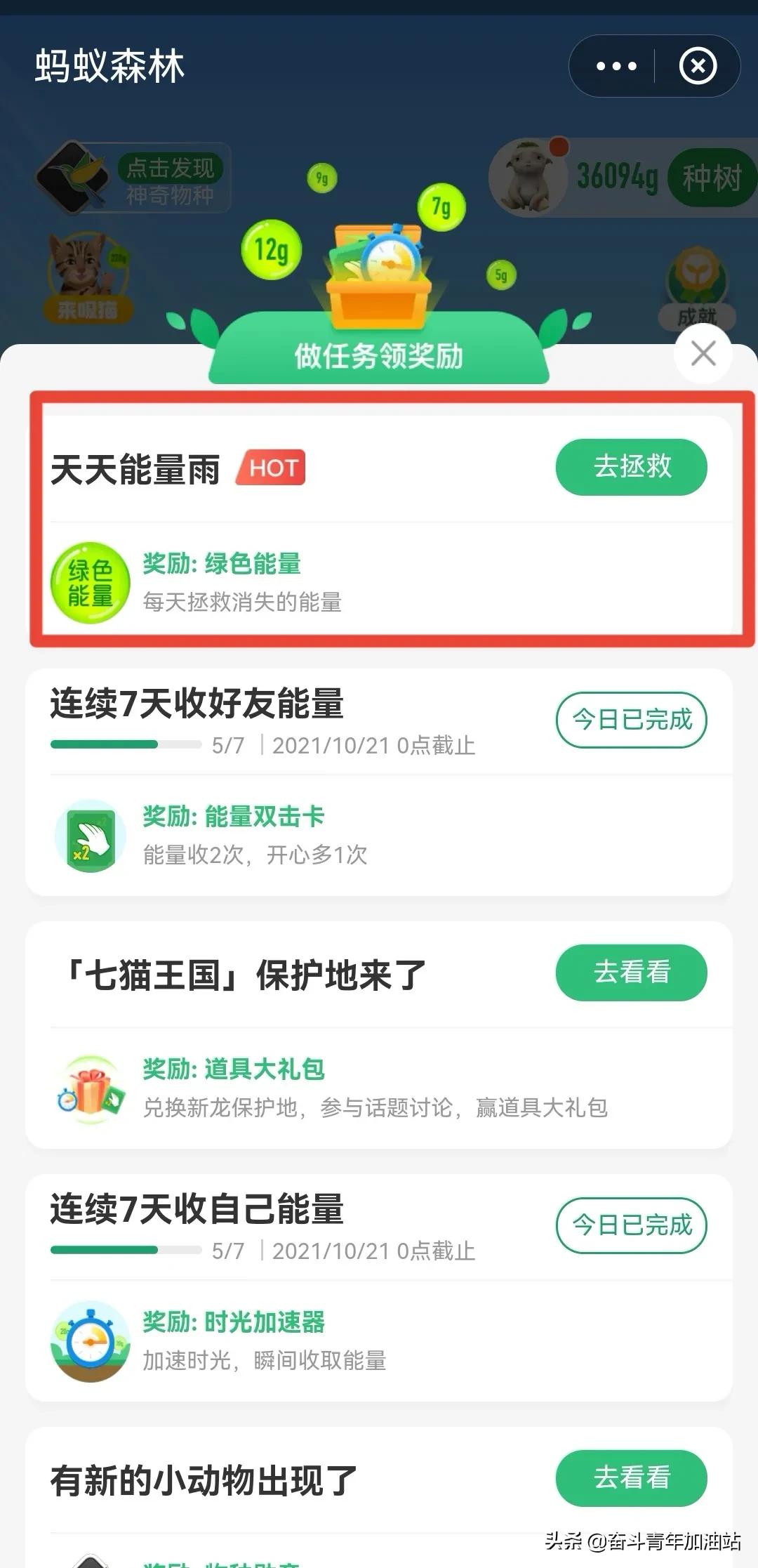 支付宝蚂蚁森林想获取更多能量吗？看这里