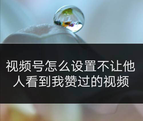 微信视频号如何不让好友看点赞视频 微信视频号在哪设置不展示点赞视频